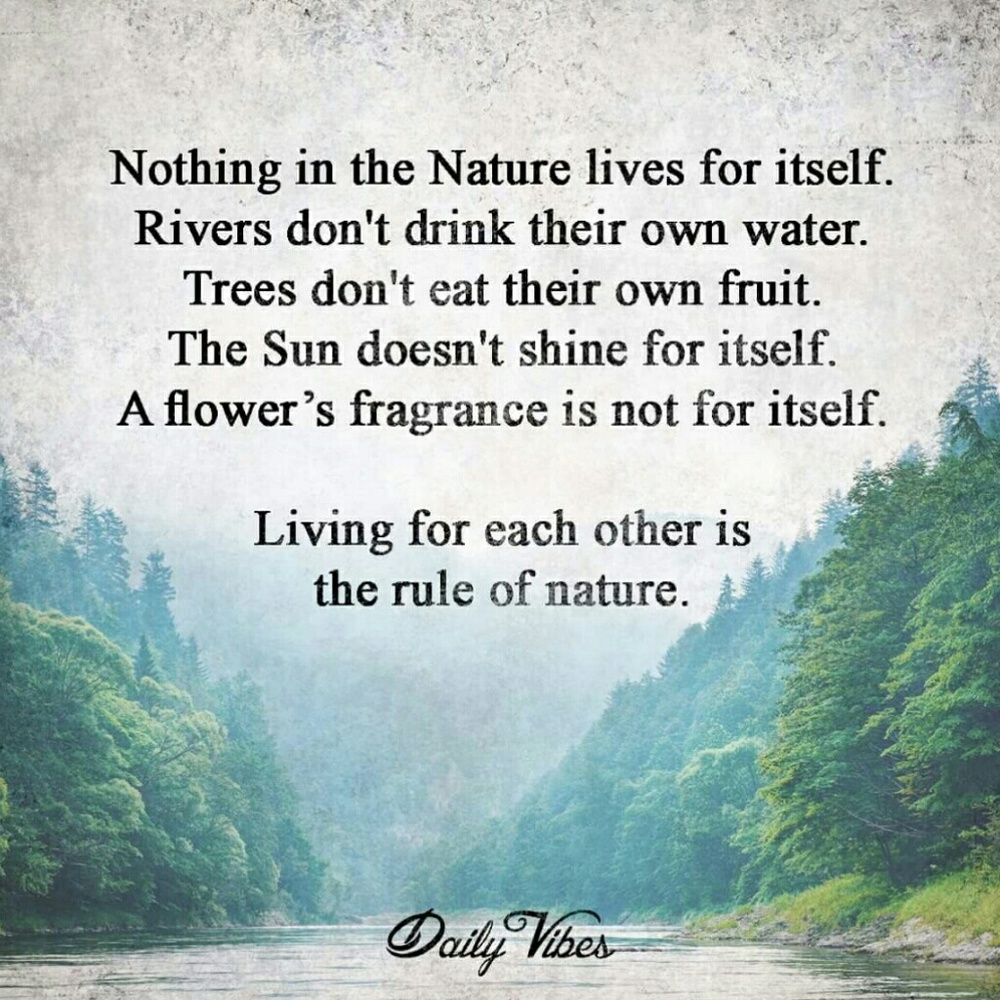 Food for thought... ☕🍩💭 - Picture 6 of 8